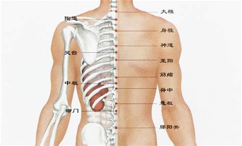 后背有痣|女人后背长痣图解大全 女人背上的痣代表什么意思